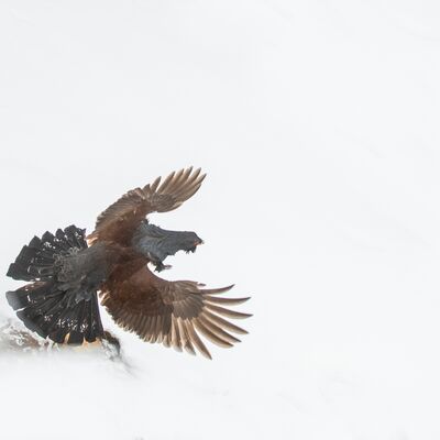 4. Platz: Reinhard Arnold - Abflug