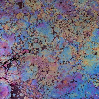 9. Platz: Roland Platzgummer - Kahmhaut