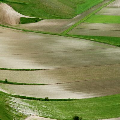 8. Platz: Walter Oberlechner - Piano Grande