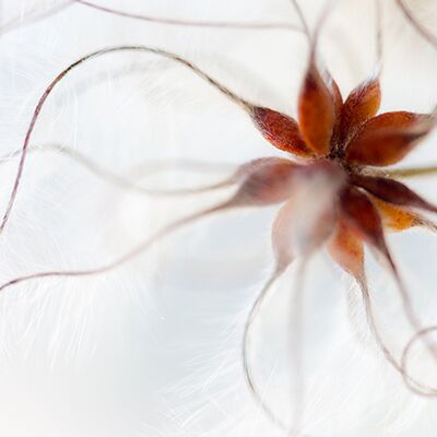 3. Platz: Plaickner Manuel - Waldreb