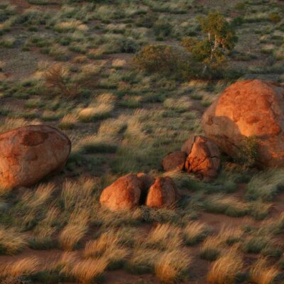 3. Platz: Wassermann Johannes - Delvis Marbles, Australien