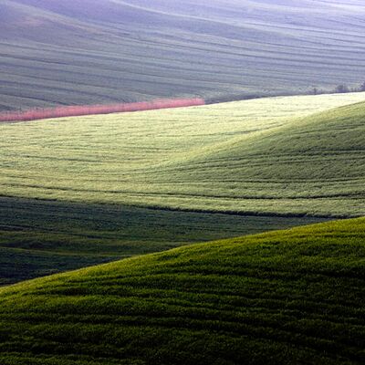 4. Platz: Georg Taschler - Crete
