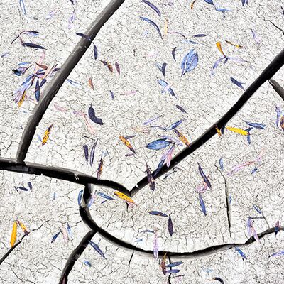 4. Platz: Plaickner Manuel - Herbstblätter