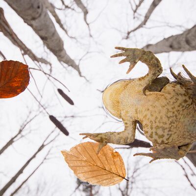 4. Platz: Valter Pallaoro - Sguardo da sotto