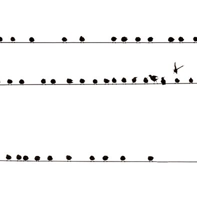 7. Platz: Gerd Tauber - Stare beim Morgengespräch