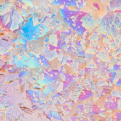 7. Platz: Hugo Wassermann - Kahmhaut