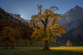 Erste Sonnenstrahlen