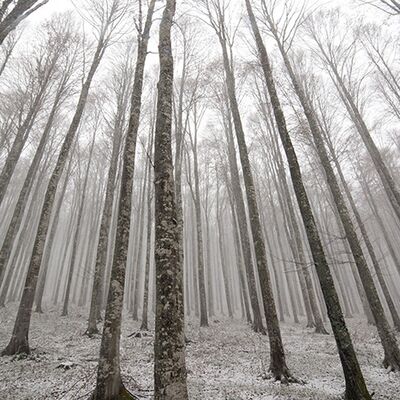 10. Platz: Paul Erlacher – Wald