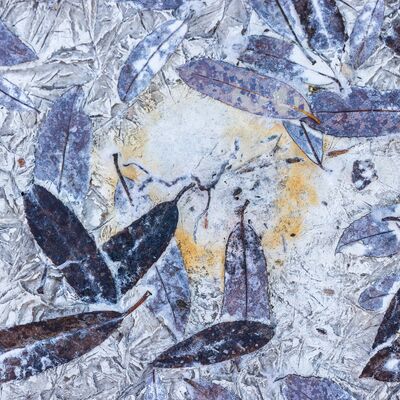 2. Platz: Sepp Hackhofer - Weidenblätter