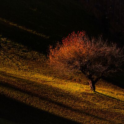 4. Platz: Reinhard Arnold - im letzten Licht