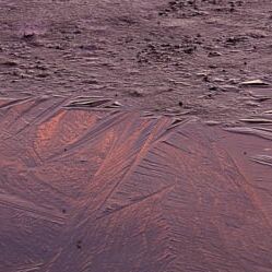 4. Platz: Elzenbaumer Helmut - Eis