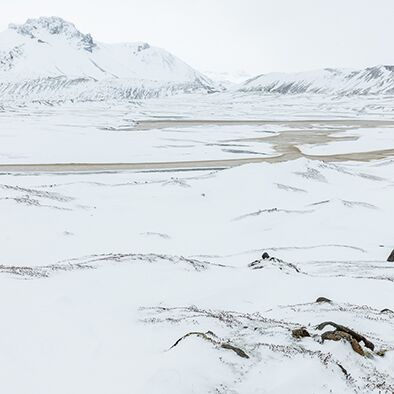 4. Platz: Max Drescher - Eisig