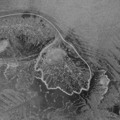 7. Platz: Annamaria Pernstich - Blatt im Eis