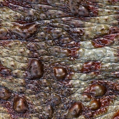 8. Platz: Stefano Baglioni - Terre umide