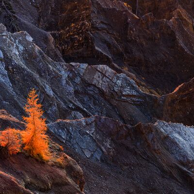 4. Platz: Lukas Schäfer - Überlebenskünstler