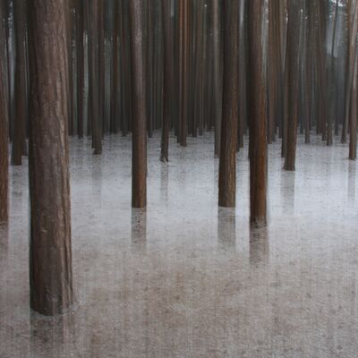 4. Platz: Patrick Fumanelli - Schneehauch