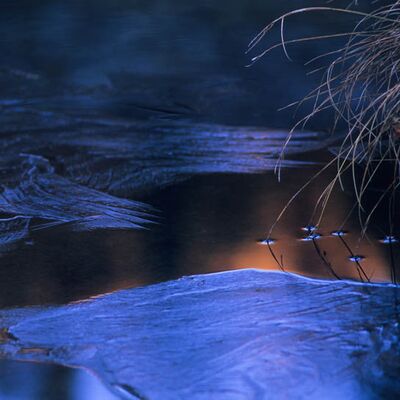 10. Platz: Gheno Bruno - Gras, Eis und Wind