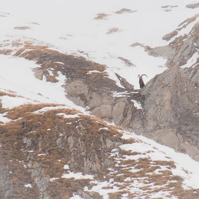 10. Platz: Reinhard Arnold - Karge und einsame Zeit