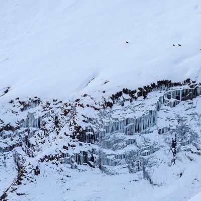 10. Platz: Martin Brugger - Gämsen