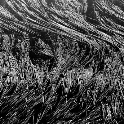 4. Platz: Claudio Sferra - Unruhe