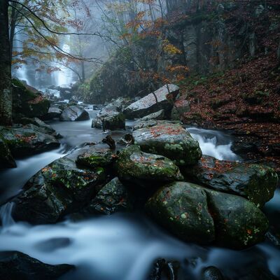 8. Platz: Giovanni Maurizi - Dardagna