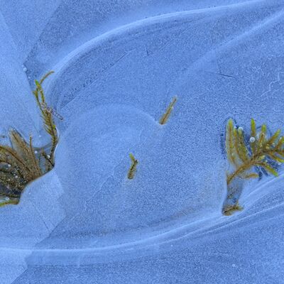 5. Platz: Gerhard Tauber - Eingefroren