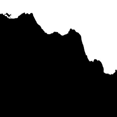 1. Platz: Massimo Santoro - Gamsbock