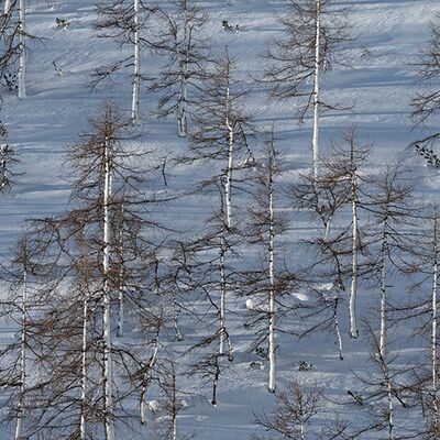 9. Platz: Claudio Sferra - Incrocio di linee