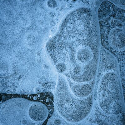 10. Platz: Matthias Gritsch - Eisgesicht