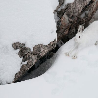 10. Platz: Annamaria Pernstich - Ich recke strecke mich