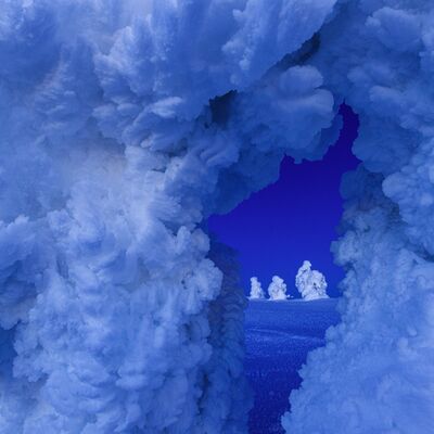 3. Platz: Lukas Schäfer - Gefrorene Bäume