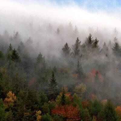 5. Platz: Spornberger Hansjörg - Regenwetter