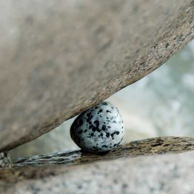 1. Platz: Alexandra Figl - Steine