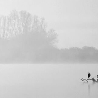 2. Platz: Helmut Elzenbaumer - Anflug zum Rastplatz