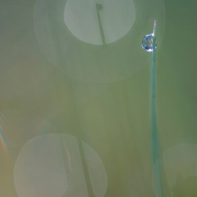 4. Platz: Valter Pallaoro - punto nel punto