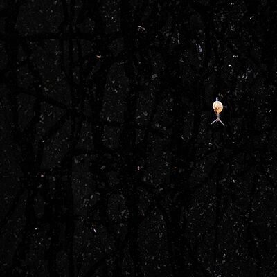 1. Platz: Peter Pliger - Galaxy