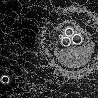 4. Platz: Silvan Lamprecht - Eisstruktur