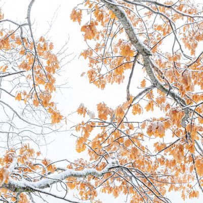 8. Platz: Massimo Santoro - Herbst und Winter