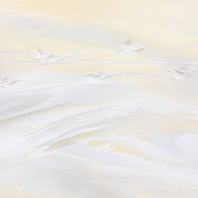 9. Platz: Massimo Santoro - Maus im Schlamm